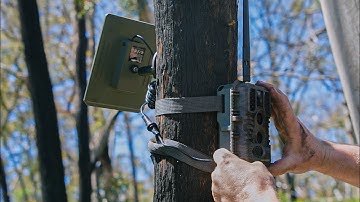 Tracking deer with trail cameras - GardePro