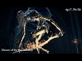 冷冽谷的舞孃 八周目近戰無傷/Dancer of the Boreal Valley ［Ng+7, No hit, Melee only］