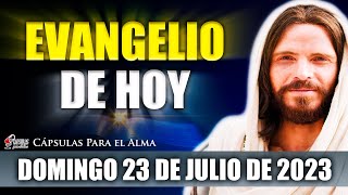 Evangelio de Hoy DOMINGO 23 de Julio de 2023 | Parábola del sembrador Mateo 13:1-23 screenshot 5