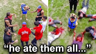 When Criminals Face the WRONG Police Dog