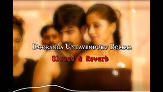 Dooranga Untavenduku Bomma ❤️ Slowed & Reverb (Perfection)by Snaily Edits Use Headphones 🎧🎶