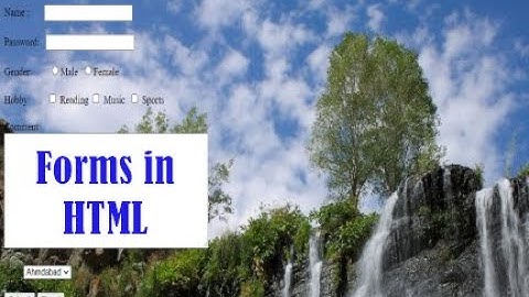 Standard 12 | Chapter 1 | Designing HTML Form | Computer Studies