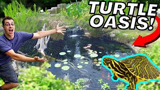 DIY Turtle Pond OASIS! - 2 Year Update