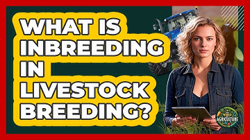 What Is Inbreeding In Livestock Breeding? - The World of Agriculture