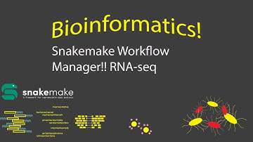 Bioinformatics - Snakemake Workflow Management! (Timestamps)