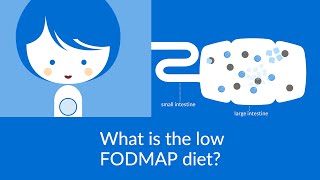 What is the Low FODMAP Diet?