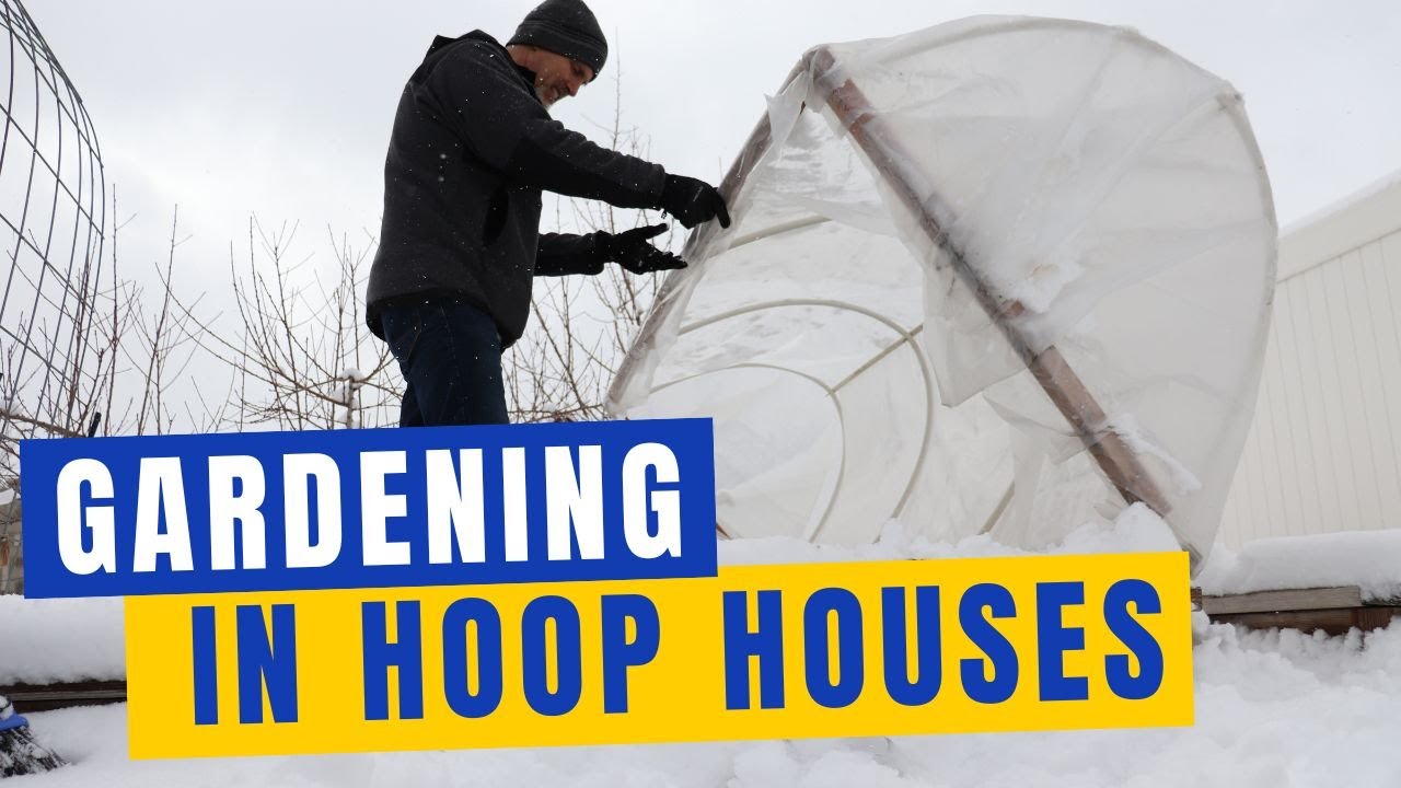 Gardening in Hoop Houses in the Fall