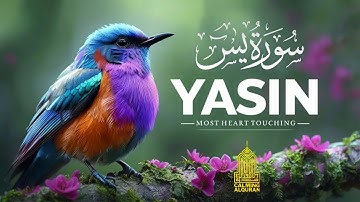 Surah Yasin (Yaseen) سورة يس | Beautiful voice heart touching | Calming Alquran