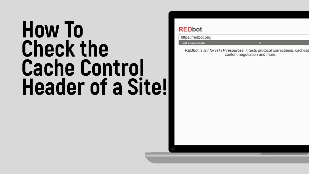 How to Check the Cache Control Header of a Site [easy] - YouTube