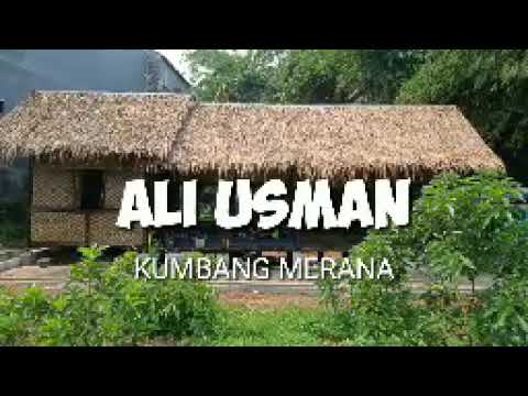ALI USMAN. -  KUMBANG MERANA