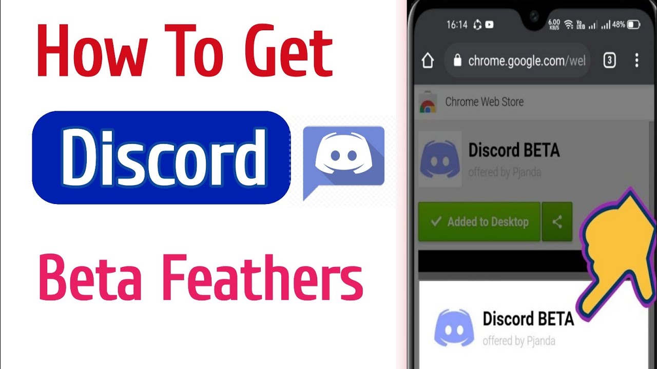 download discord beta