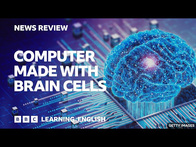 Computer made with brain cells: BBC News Review class=