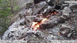 Matan Koalia | Riku Soin Timor-Leste: Oil & Gas Seeps in Onshore of Timor-Leste.