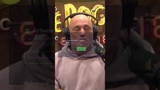 Joe Rogan Experience #2078   Duncan Trussell 8250s