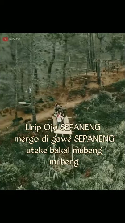 Story wa_ Urip Ojo sepaneng