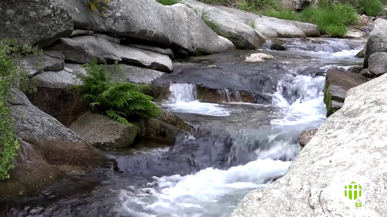 Entorno natural de la Boca del Asno - Valsaín (Segovia) - YouTube