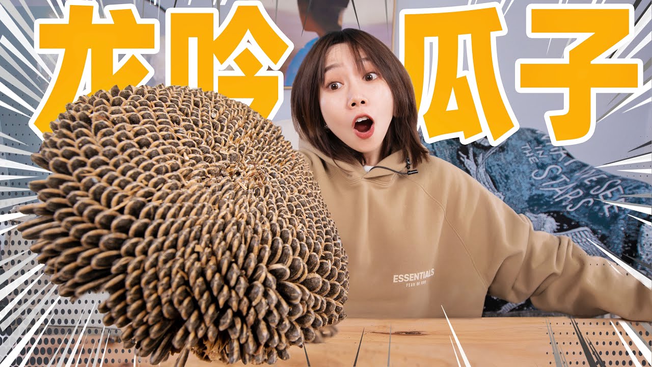 用2000颗真瓜子！做一粒龙吟瓜子！| The RyuGin melon seeds
