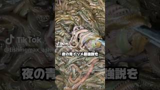夜のアオイソメ最強説。#short #shorts