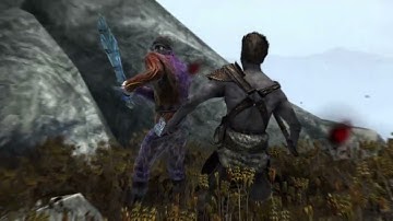 Skyrim_you never should have come here