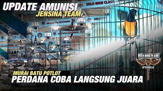 Download Lagu Update Terbaru Perkembangan Murai Batu Potlot Pasca Mabung‼️ MP3