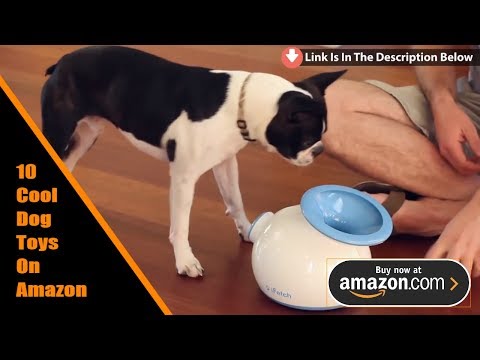 10-cool-dog-toys-on-amazon-(amazing-products-for-your-lovely-pet)