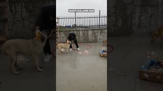 Hayat Paylaştikça Güzel