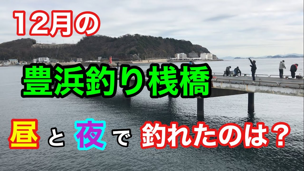 12月の豊浜釣り桟橋の昼と夜で釣れたのは？知多半島