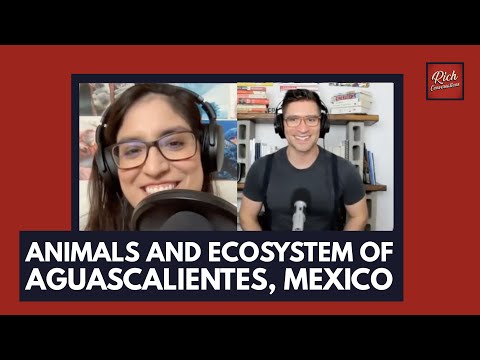 Animals and Ecosystem of Aguascalietes, Mexico