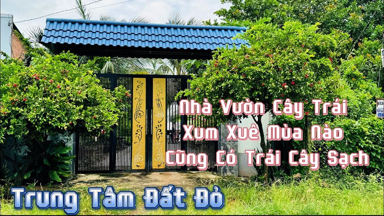 ( Đã Bán ) Sáng Chăm Vườn Cây Rồi Buổi Chiều Chạy Ra Biển Phước Hải Tắm Thì Còn Gì Bằng Ạ #baria