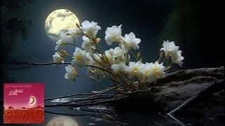 Michael Cretu - Moonlight Flower (1979 - Moon, Light & Flowers)