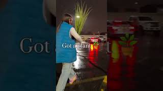 Celebrity Date Night with the Wife‼️ #shorts #datenight #wife Net Worth