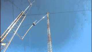 Flagrantes na natureza. Ele sempre nos visita.