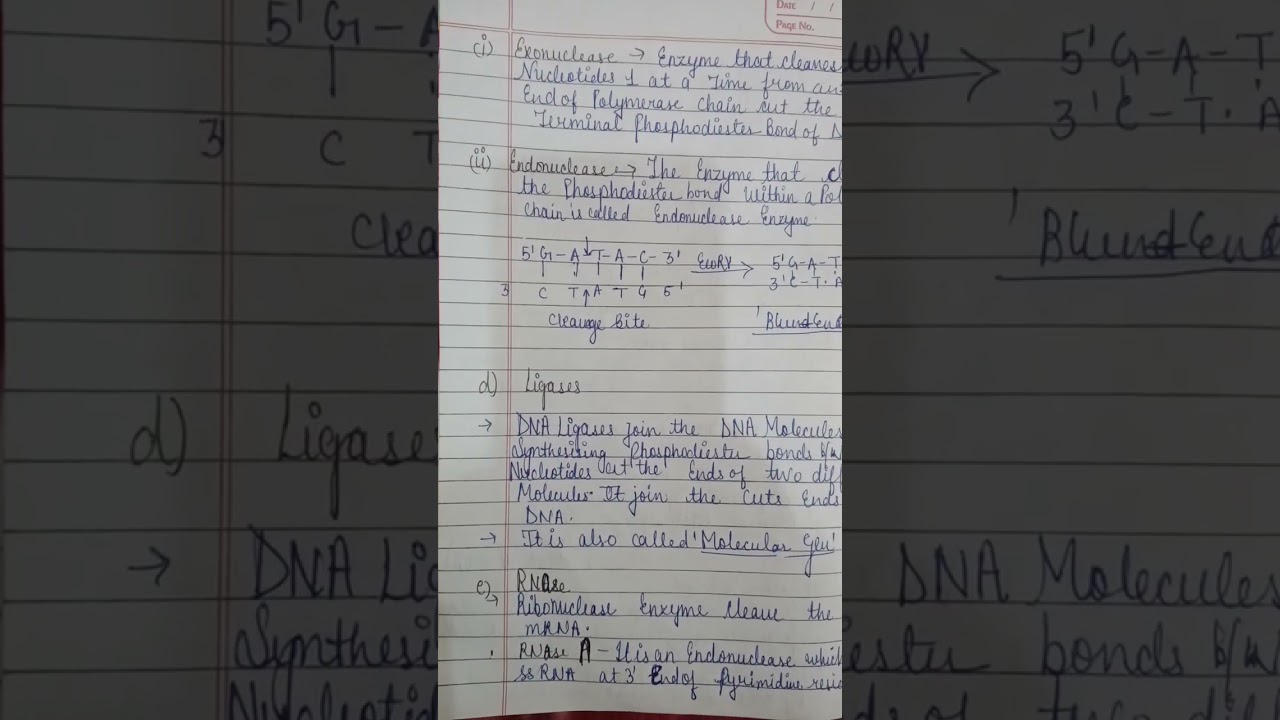 BioTechnology||Recombinant Dna Techniques Notes ||Bsc .