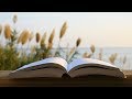 Study Music | Relaxing Music for Studying | Concentration Music | Reading Music | Instrumental Music