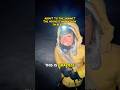 SUMMITTING MOUNT KILIMANJARO Part 2 We Did It Surreal Journey Mountkilimanjaro Hiking Travel SUMMITTING MOUNT KILIMANJARO Part 2 We Did It Surreal Journey Mountkilimanjaro Hiking Travel