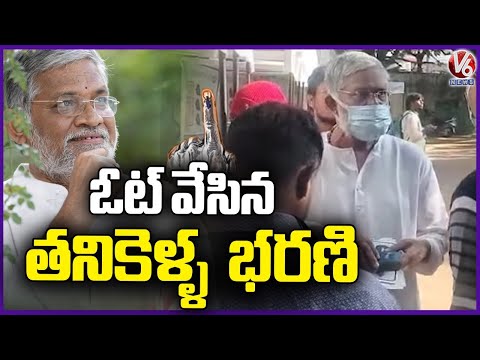 Tanikella Bharani Caste His Vote In Jubilee Hill By Poll  V6 News - V6NEWSTELUGU