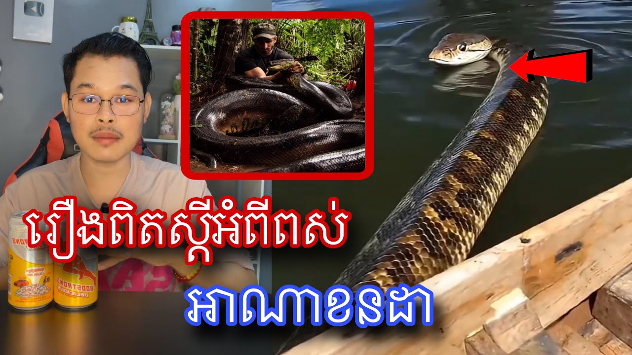 មកដឹងល្បឿននៃការបំលាស់ទីរបស់អាណាខនដា l Mr.Veasna