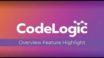 CodeLogic Overview feature | Highlight
