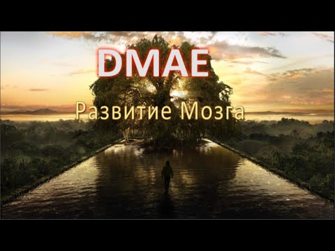 DMAE(ДМАЭ), Развитие Мозга!
