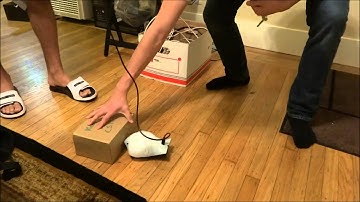 CS 10 - The Finch Robot