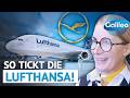 Der deutsche Gigant der Lüfte: Lufthansa CEO im Interiew
