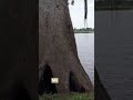 Mancing di Danau
