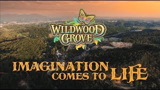 Wildwood Grove at Dollywood: Imagination Comes to Life | Documentary