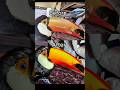 insane &amp; relaxing toucan beak restoration rehab #animals #shorts #birds #asmr #restoration #rescue Mp3 Song