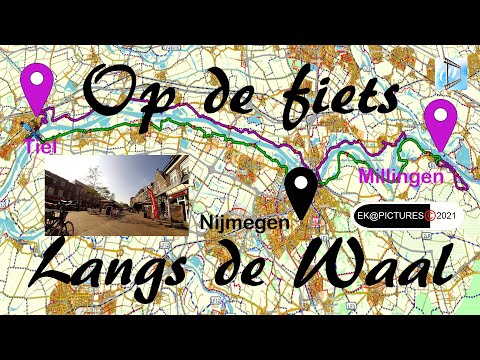 Cycling along the Waal