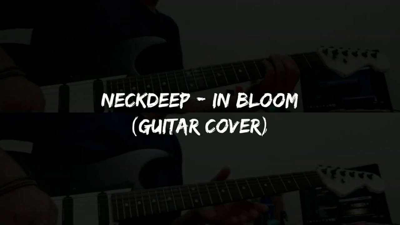 Neck Deep In Bloom (Guitar Cover) YouTube