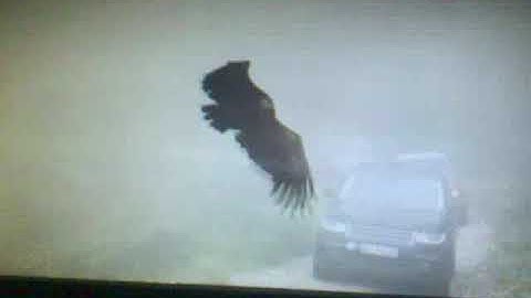 edition t265 test at pc monitor