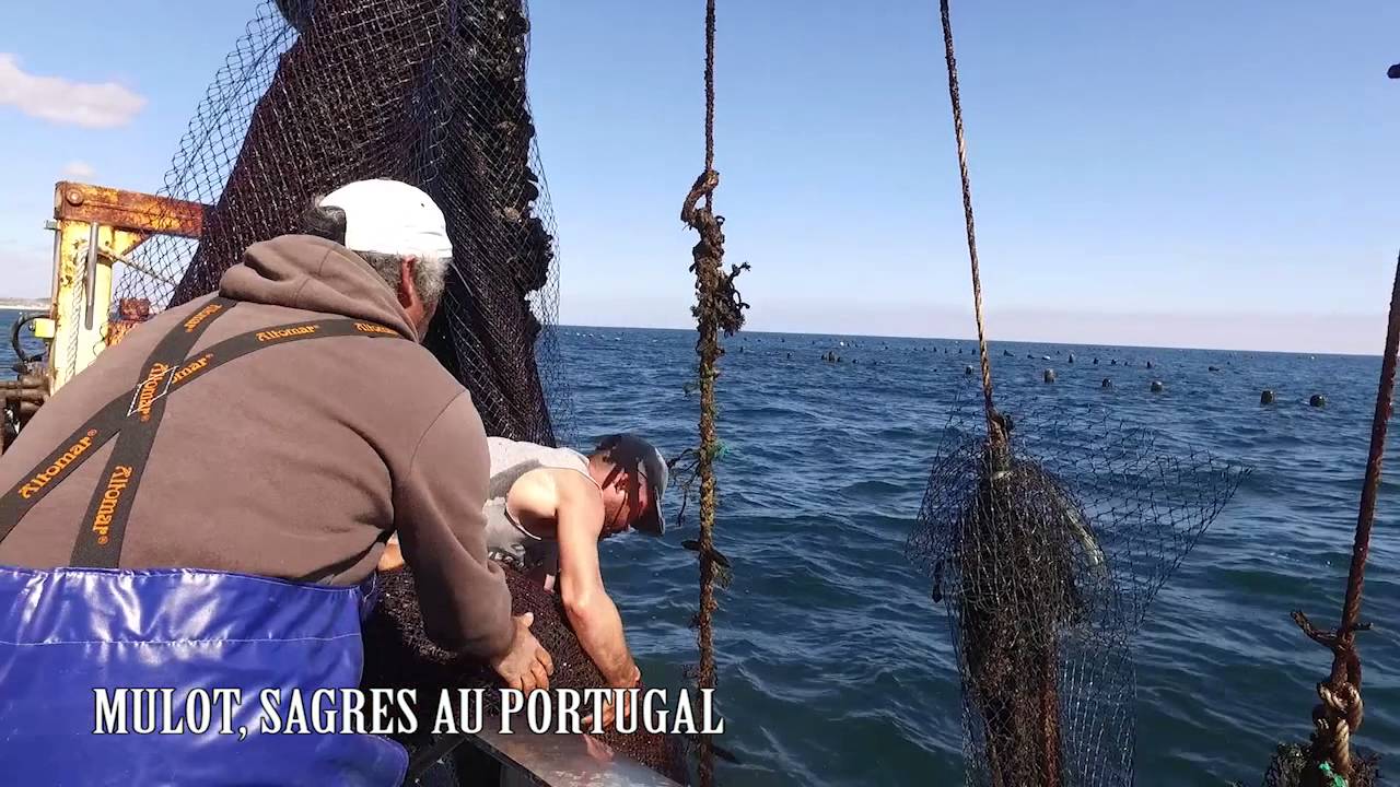 youtube-video-thumbnail