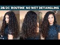 WAVY HAIR ROUTINE 2022 - No Wet Detangling | 2b 2c Indian Wavy Hair