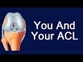 Your ACL - Anterior Cruciate Ligament In The Knee